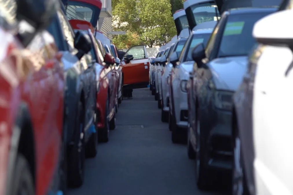 疫情下，“活着”就是最好的结果