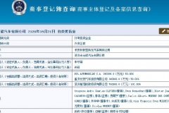 长安PSA正式更名为宝能汽车