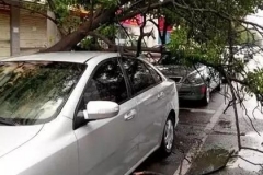 夏季雨天这样停车，就离报废不远了