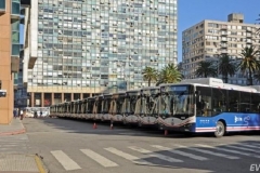 总统见证！比亚迪向乌拉圭交付20台纯电动大巴