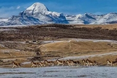 5月6月，自驾西藏的最佳时间