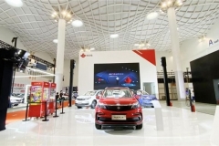 枫叶30X首秀2020海南国际车展