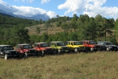 回忆杀（之三），翻看2009年的那些汽车广告