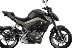 春风300NK警用版公布，未来会和250NK同步市售么？