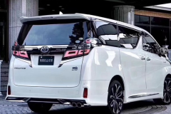 蒙娜丽莎版丰田威尔法，有钱人的快乐就是加价购车和原厂改装！