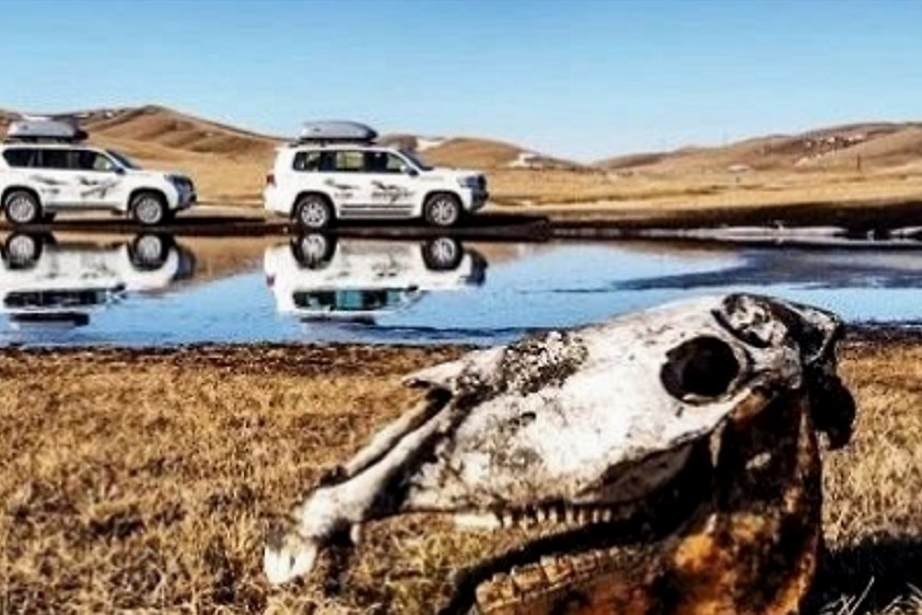 你想要的诗和远方，这三辆车满足你