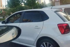 菏泽一Polo女司机一手抱狗，一手开车，被网友举报