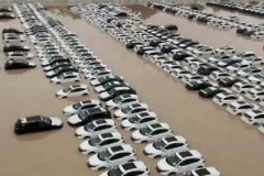 广汽本田受暴雨影响部分新下线车辆变“水泡车”