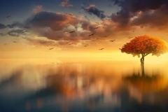 全新UR-V，终将改变潮水的方向