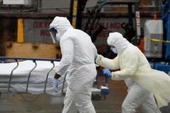 “割地赔款”“没收华人财产”！澳大利亚重拳出击，这次玩过头了