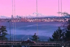 又一批外国专家来华，只为一张中国绿卡，3000名已做好移民准备