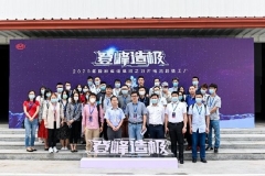 解密比亚迪刀片电池，动力电池路线或将生变