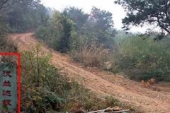 一句话证明你开的啥车？不许出现车名，看到凯迪拉克我笑了