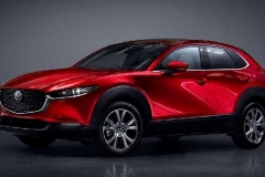 中国“6亿人月收入仅1000元”，何谈买车当儿童节礼物？