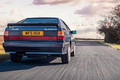 聊车室｜有一只壁虎叫“夸丑”，它已经40岁了