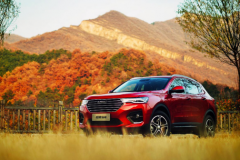 摆地摊赚外快，哈弗H4那可是行家