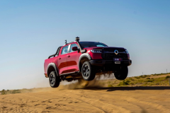 6月重磅车扎堆，刀片电池现身、“官方爆改版”长城炮都来了！