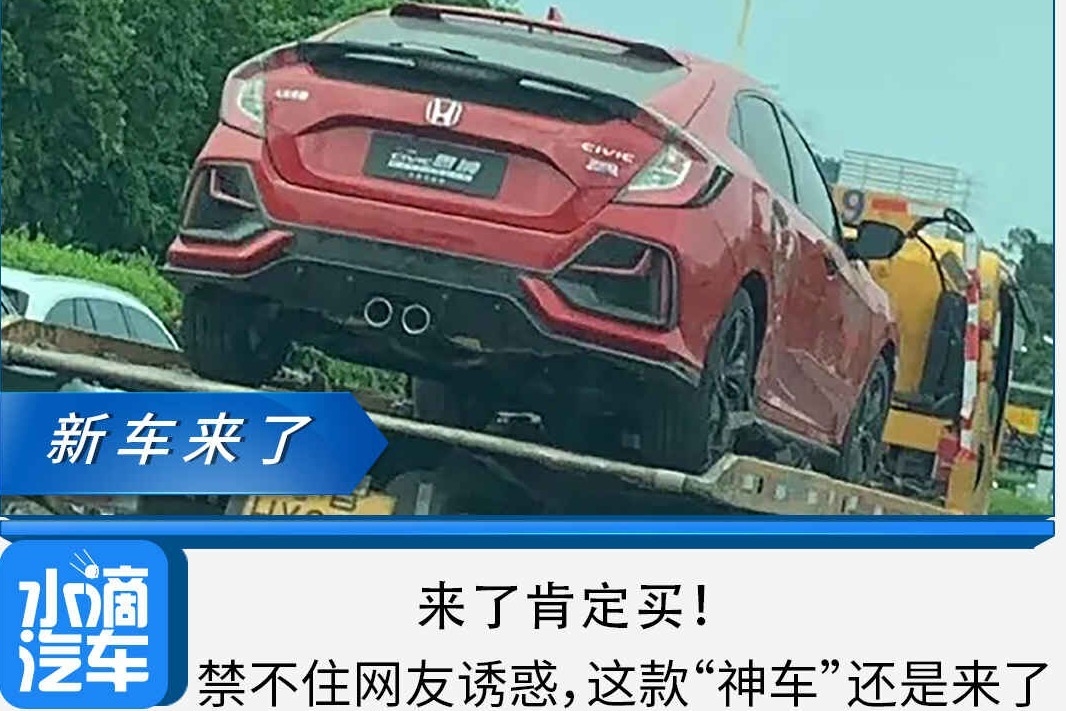 来了肯定买！禁不住网友诱惑，这款