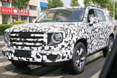 网友给哈弗新车起名大狗SUV：很像澳洲牧羊犬，更代表忠诚！