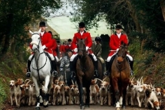 聊车室｜穷人开瓦罐，贵族开猎装？关于猎装车的前世今身，看这里