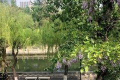 当景点都安静下来 ——凯美瑞的初体验