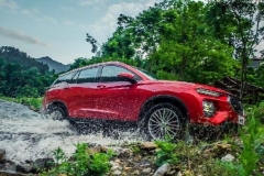 拼命自救的海马，希望渺茫的生路