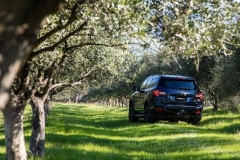 懂车的进：30万级硬派SUV买福特撼路者还是三菱帕杰罗劲畅？