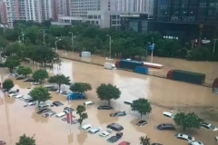 你了解泡水车吗？这里有你想知道的一切