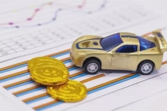 深圳新版新能源汽车补贴量身定制 无下限地方保护能成就伟大企业？