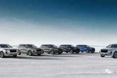 这车外观耐看，内饰4块大屏很吸睛，续航800km还可以跑西藏