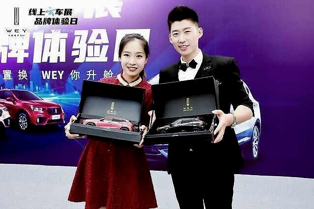 半价VV6限时抢，WEY品牌云车展火力全开助燃618