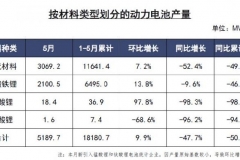 5月动力电池产量5.2GWh 1-5月累计产量同比下降50.9％