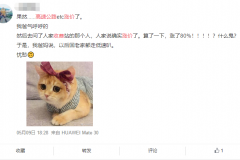 29个省份最新的收费标准出炉！你的高速费用涨价了吗？