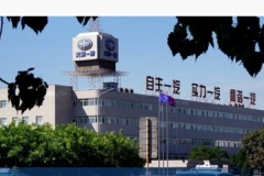 夏利重组缺的是一个博郡吗？| 汽车预言家