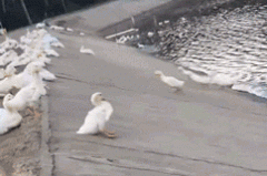 30万新人第一辆车，求推荐