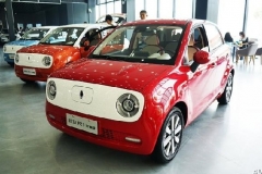 欧拉R1高续航版本曝光 NEDC综合工况达401公里