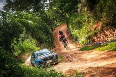 长安CS75 PLUS的爆款秘密：制定标准，而不是迎合标准