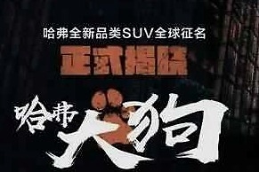 长城有“大狗” 北汽有“大猫” 4.98万起价 定位纯电微型车