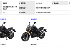 工信部公布新的GW250蛇头兄弟车型，豪爵标，配套倒置减震