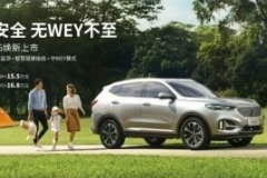 首发5款车型14.8万起，2021款VV6“爸气”上市