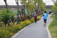 “活力九亭”，生机让你感动