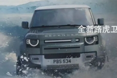 预算30万元，买电动车还是燃油车？调查结果亮了