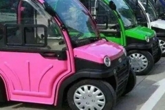 傍上一汽、野马、蔚来、双龙 山东低速电动谋求第三次复活|汽车预言家