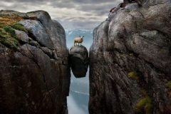 转型这碗水，喝着烫嘴｜转型有坑