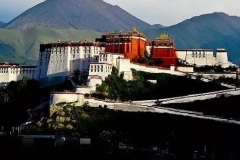 骑什么车出去耍，来配对测试一下