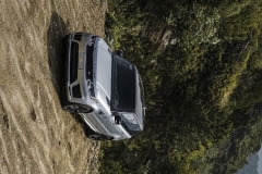 猛虎出山，路虎跑山