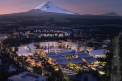 丰田如何调整投资结构？