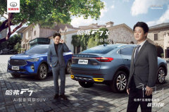 安全的定义是什么？哈弗F7给你答案