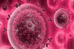 特别报道！6月22日零时！疫情有重大转机，病毒来源确定？专家宣布重大发现