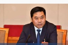 两会代表王连春：重振汽车消费是一道必答题丨汽车预言家